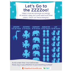 Image of SYF- Sleep at the Zoo Poster 18" x 24" (Limit 10)