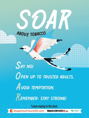 SOAR Above Tobacco Poster 18" x 24" (Limit 10) image thumbnail