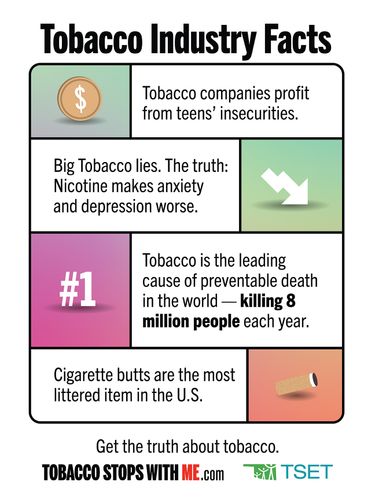 Tobacco Industry Facts Poster 18" x 24" (Limit 10) image thumbnail