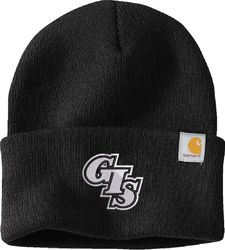 Image of Carhartt Watch Cap 2.0 CT104597
