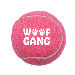 Image of Pet Fetch Toy Tennis Ball