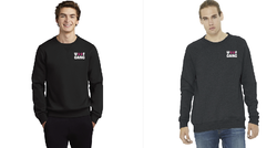 Image of   Unisex Sponge Fleece Raglan Sweatshirt. 