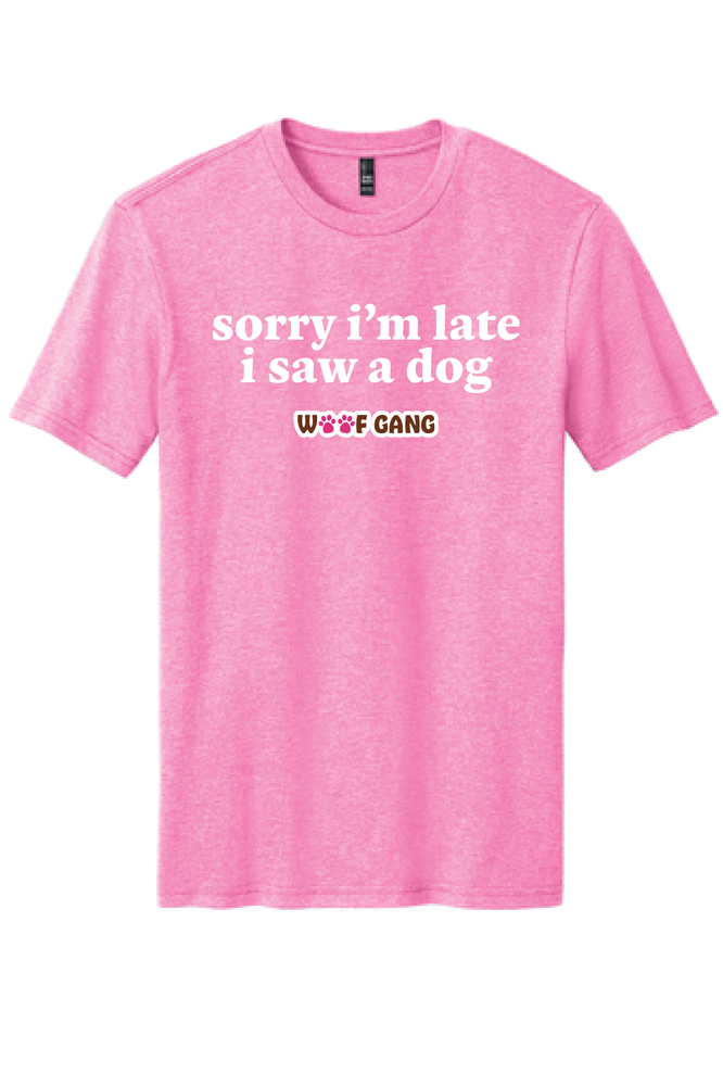 Sorry i'm late primary image