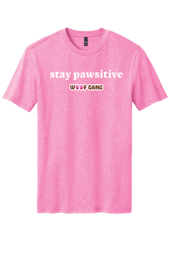 Stay Pawsitive image thumbnail