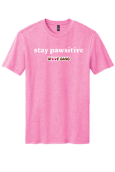 Image of Stay Pawsitive