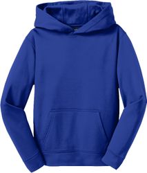 Image of Youth Sport Wick Fleece Hooded Pullover (D)
