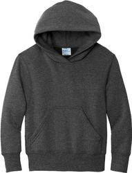 Image of Youth Hoodie (D)