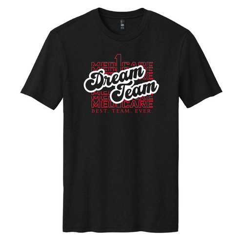 Dream Team District Perfect Weight Tee. DT104 image thumbnail