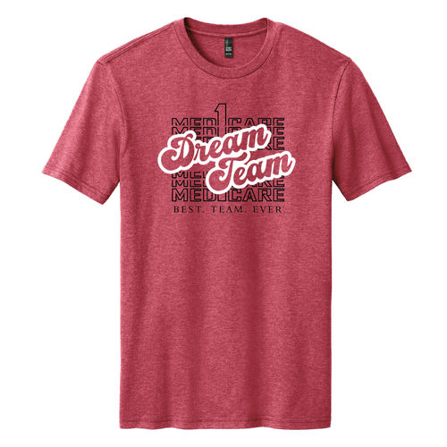 Dream Team District Perfect Weight Tee. DT104 image thumbnail