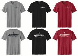 Image of Awesomeness Happens Here Perfect Blend CVC Tee. DM108