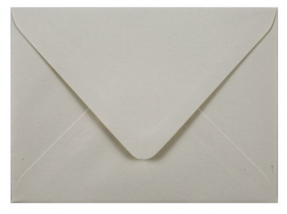 Holiday Card Envelope 1 box = 100 units primary image