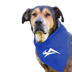 Image of Large Dog Bandana