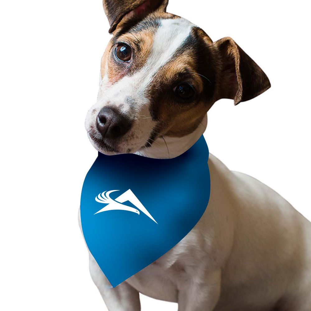 Small Dog Bandana primary image