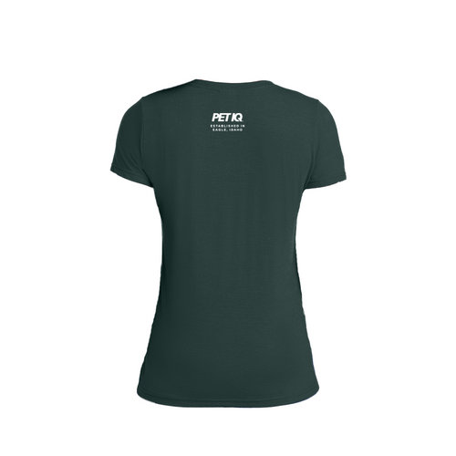 Idaho on Front - Ladies Performance Blend V-Neck Tee image thumbnail