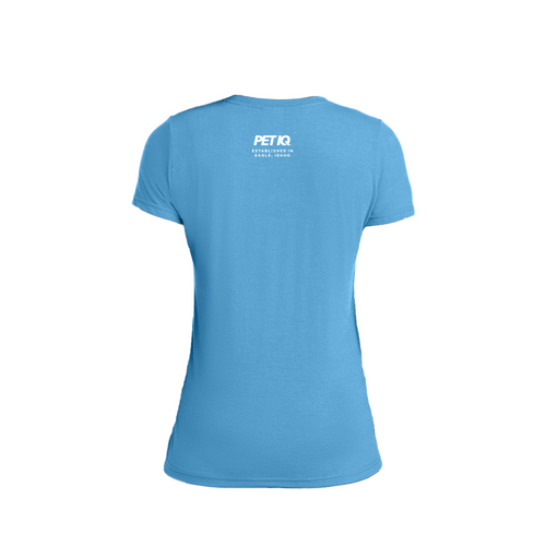 Idaho on Front - Ladies Performance Blend V-Neck Tee image thumbnail