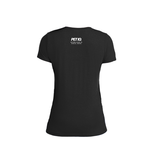 Idaho on Front - Ladies Performance Blend V-Neck Tee image thumbnail