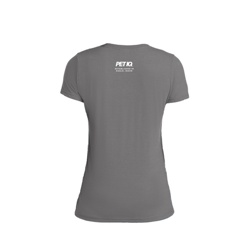 Idaho on Front - Ladies Performance Blend V-Neck Tee image thumbnail
