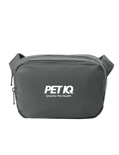 Matte Dual-Compartment Crossbody image thumbnail