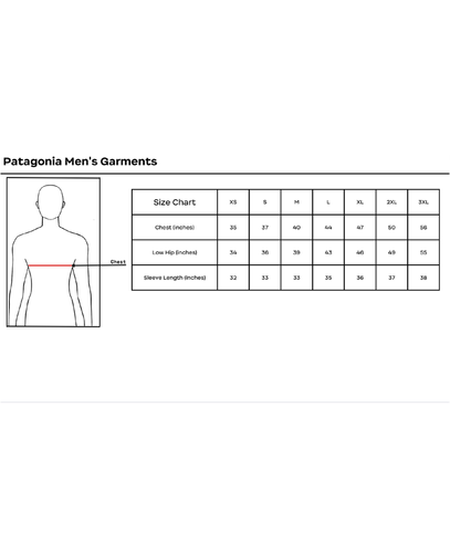 Patagonia Microdini Fleece Hoodie - Men's image thumbnail