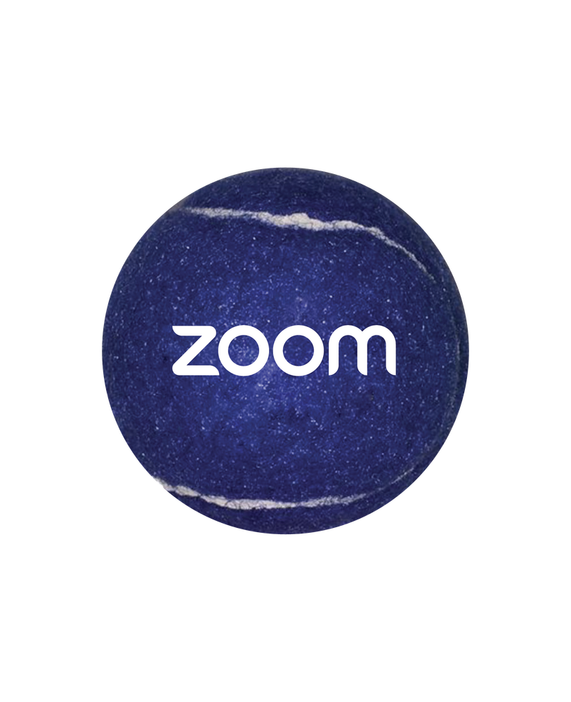 Zoom Dog Ball primary image