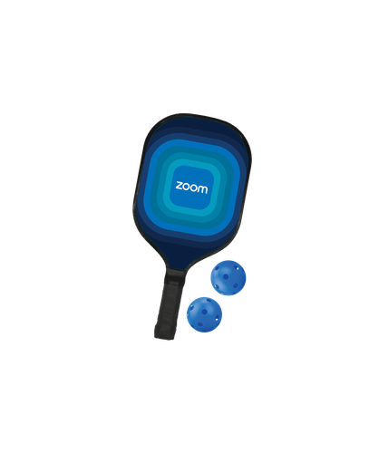 Zoom Pickle Ball Set