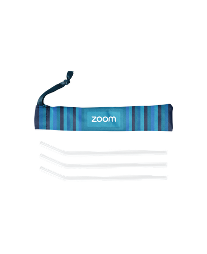 Glass Straw and Pouch Set