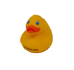 Image of Rubber Duck