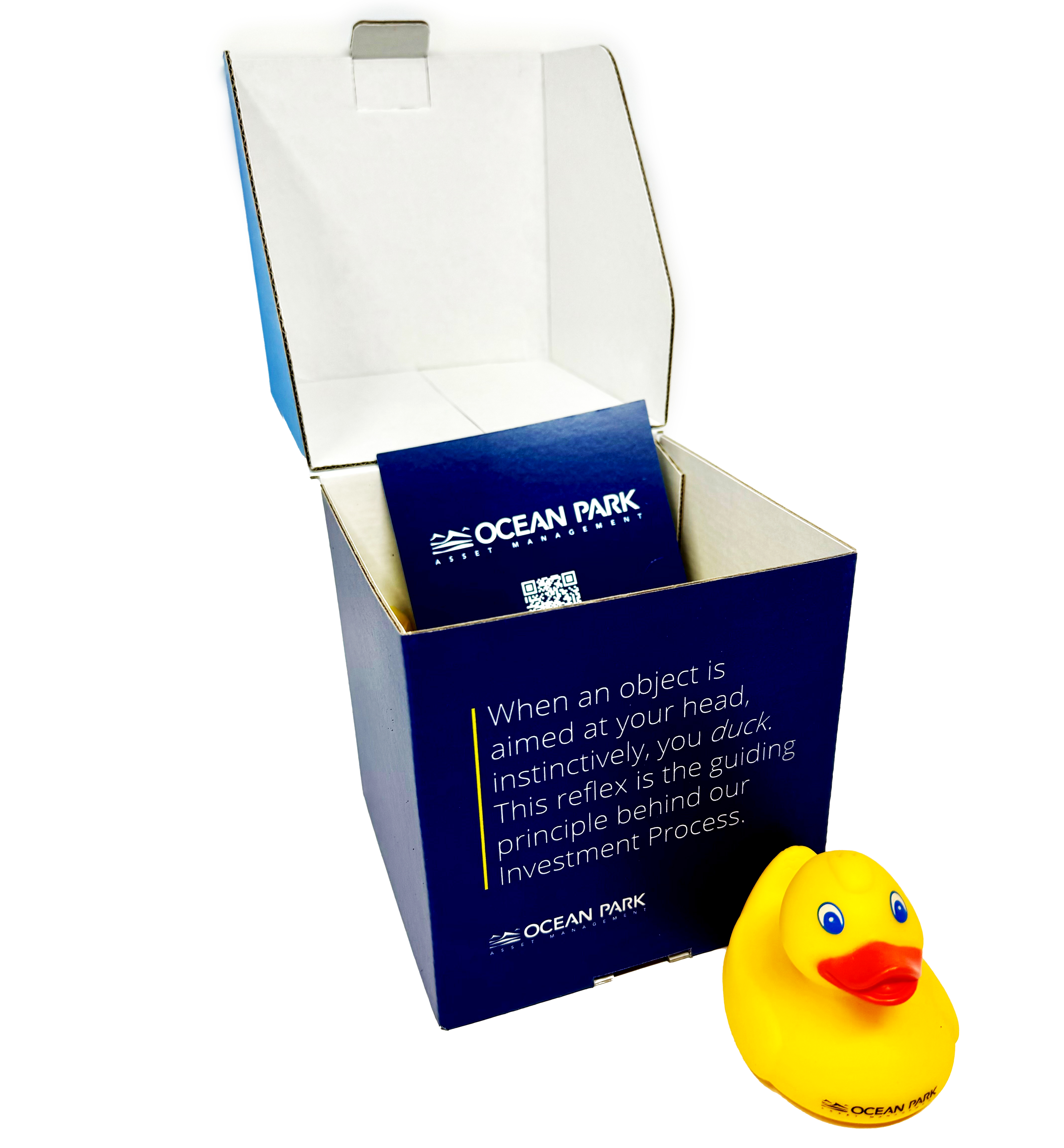 Duck Boxes image thumbnail