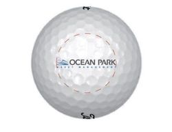 Image of Titleist Pro V1 - Dozen