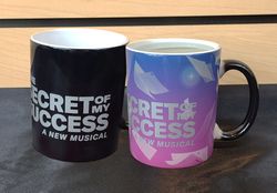 Image of Secret of My Success Color-Changing Mug