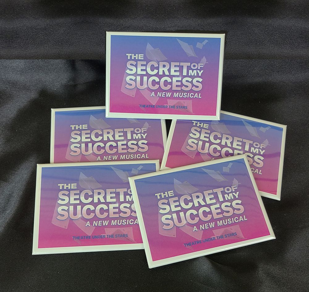 Secret of My Success Magnet primary image