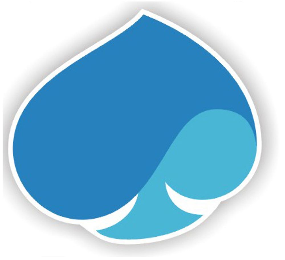 Image of Lapel Pin - Made to Order