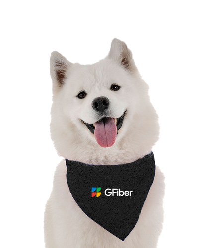 Image of Pet Bandana