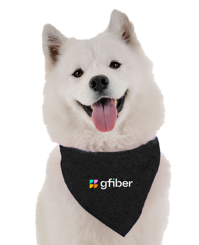 Image of Pet Bandana