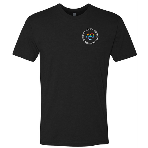 Unisex Next Level CVC T-Shirt - PRIDE  image thumbnail