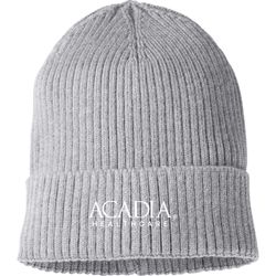 Image of Gray Ultra-Soft Premium Classic Cuffed Ribbed Knit Beanie - Embroidery