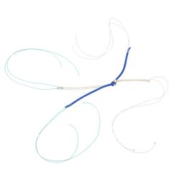 Image of ZB12028 ACL Tendons