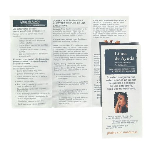 Pamphlet Trifold - DDH image thumbnail