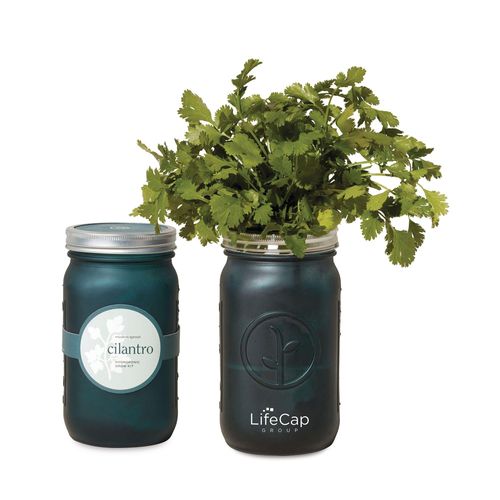 Modern Sprout® Indoor Herb Garden Kit image thumbnail