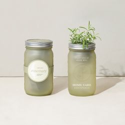 Image of Modern Sprout® Indoor Herb Garden Kit