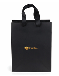 Image of Gold Foil Gift Bag