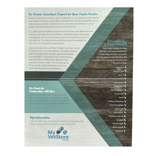 Equine Brochure (Bi-Fold) image thumbnail
