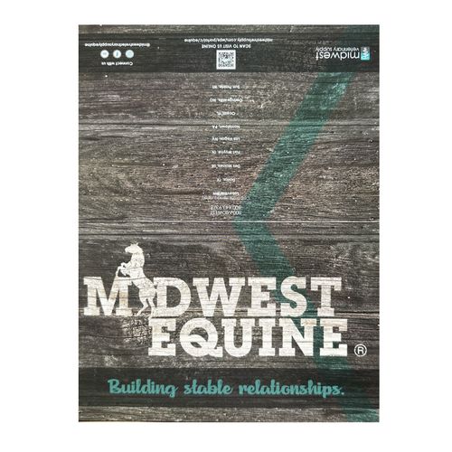 Equine Brochure (Bi-Fold) image thumbnail