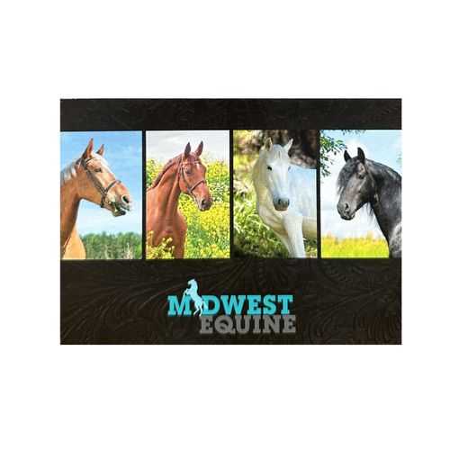 Equine Notecards image thumbnail
