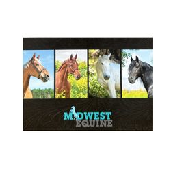 Image of Equine Notecards