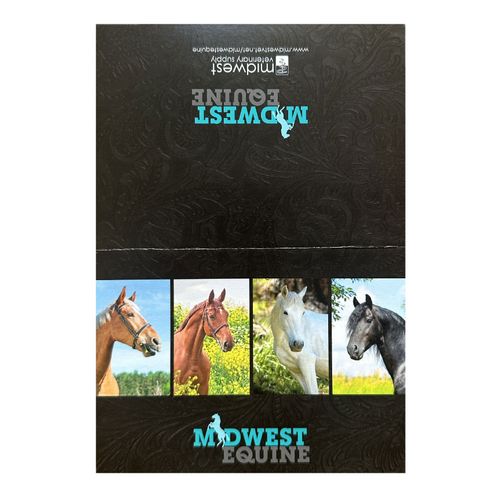 Equine Notecards image thumbnail