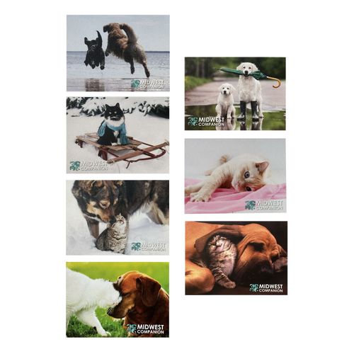Companion Animal Notecards (35ct) image thumbnail