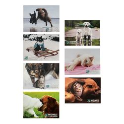 Image of Companion Animal Notecards (35ct)