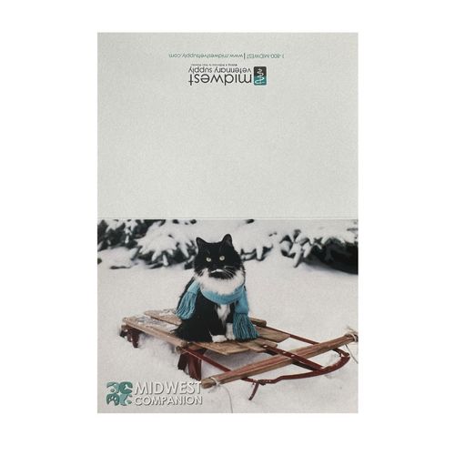 Companion Animal Notecards (35ct) image thumbnail