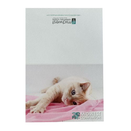 Companion Animal Notecards (35ct) image thumbnail